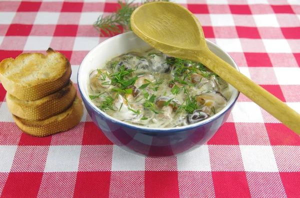 Sahnesuppe mit Steinpilzen — Stockfoto