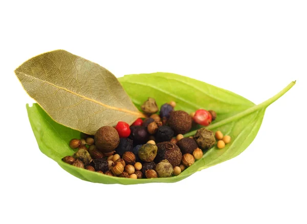 Basil's leaf with spices — Stock Photo, Image