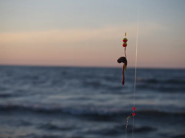 Haste de pesca com isco — Fotografia de Stock