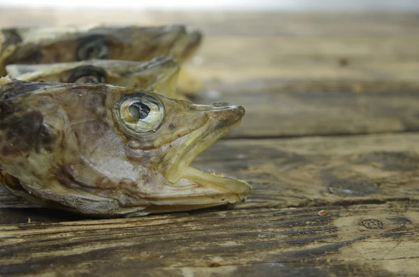 Kuru Morina balığı — Stok fotoğraf