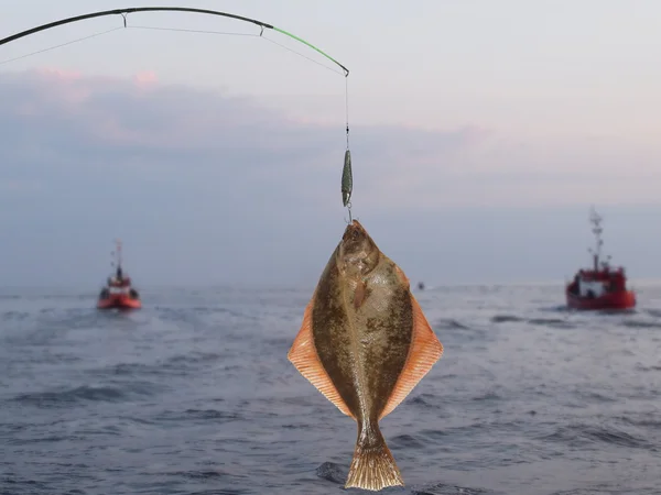 Große Fischflunder — Stockfoto