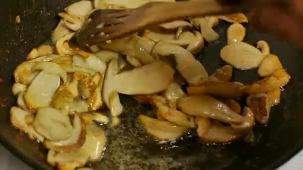 油炸的真菌牛肝菌 — 图库视频影像
