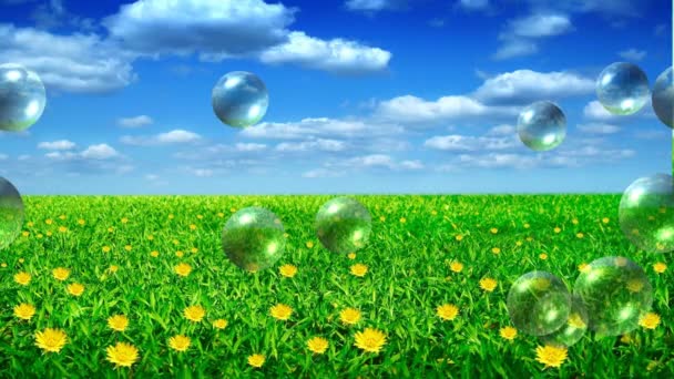 バブルと草原 — ストック動画