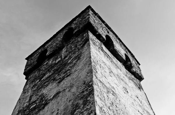 Ancient Svan Tower — Stock Photo, Image