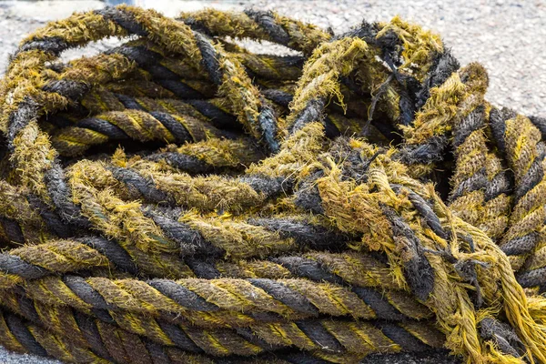 Gele en zwarte versleten touw — Stockfoto