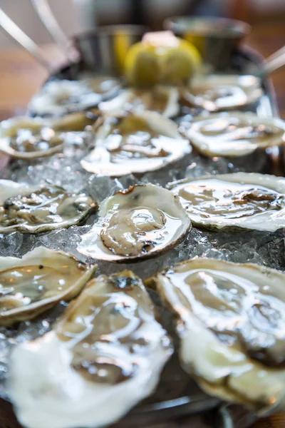 Tray of Oysters with Lemon in Background — Stock Photo, Image