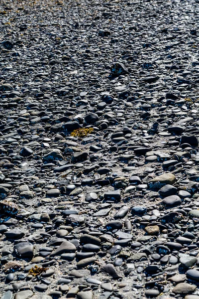 Pedras pretas na cama do mar na maré baixa — Fotografia de Stock