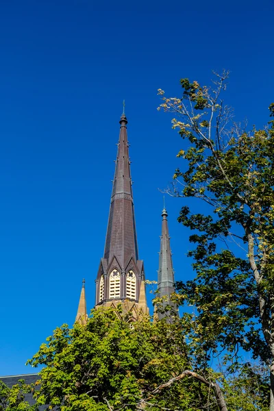 Alter brauner Kirchturm ragt aus Bäumen — Stockfoto