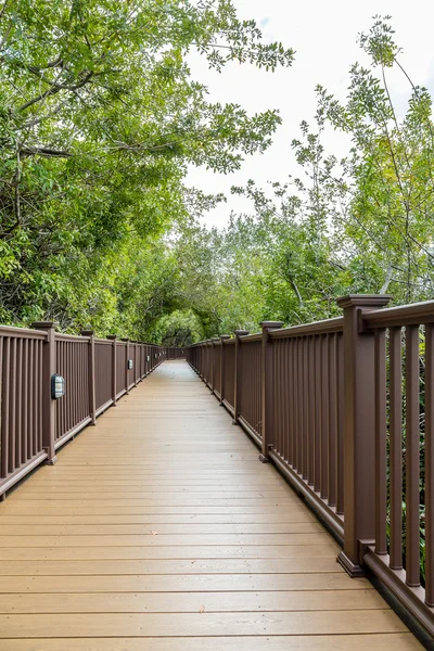 Wood Walkway Through Tropical Forest — Stock Photo, Image