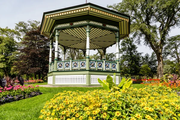 Gazebo y margaritas en el jardín — Foto de Stock