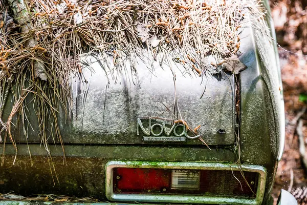 Pinestraw on Chevy Nova — Stock Photo, Image