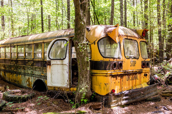 Bartow County School Bus