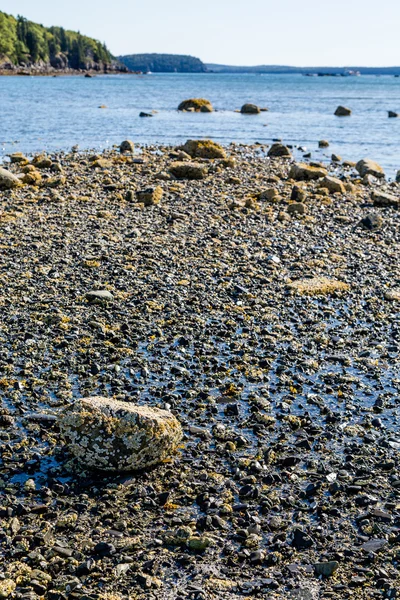 Rocas en la piscina de marea en la marea baja —  Fotos de Stock