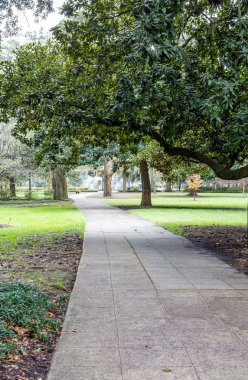 Savannah Park yol yürüme