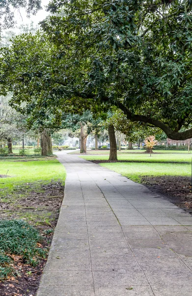 Walking Path Through Savannah Park — Stock Photo, Image