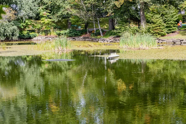 Calm Green Lake in Garden — Stock Photo, Image