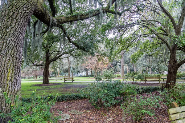 Benches in Nice Southern Park — Stock Photo, Image