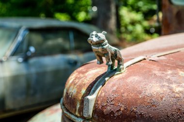 Turuncu bir Challenger