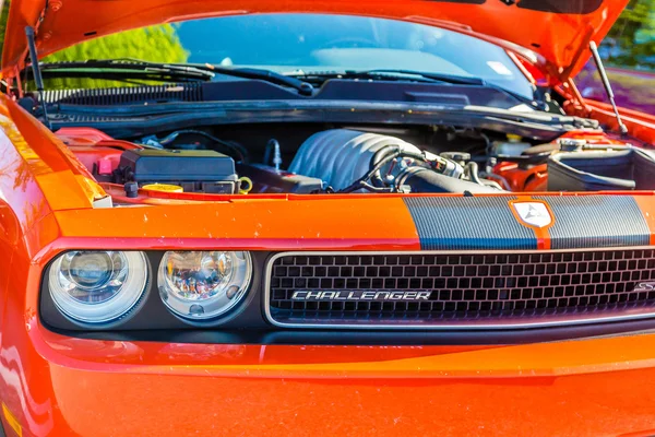 An Orange Challenger — Stock Photo, Image