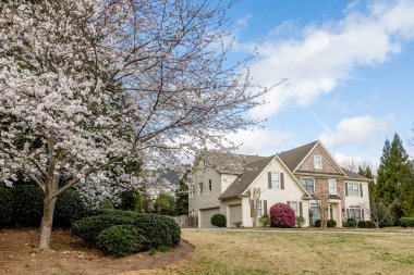 Taş ve Siding House tarafından kiraz ağacı