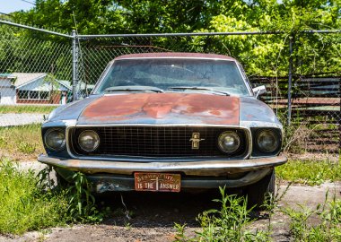 Rusty mavi Mustang