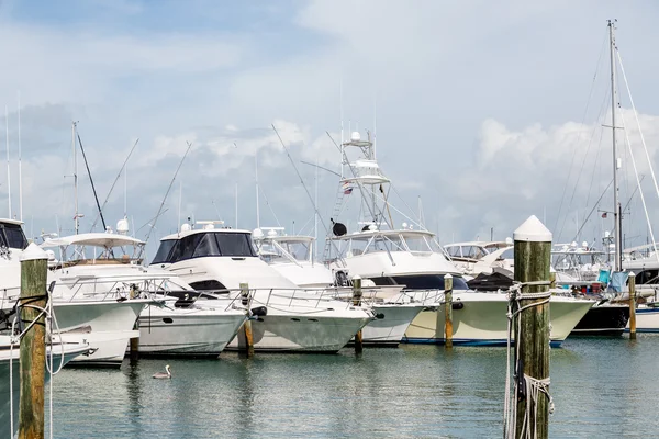 Stora fiskebåtar i Tampa — Stockfoto