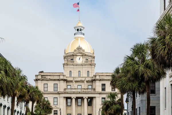 Line of Palm Trees to City Hall — Stock Photo, Image