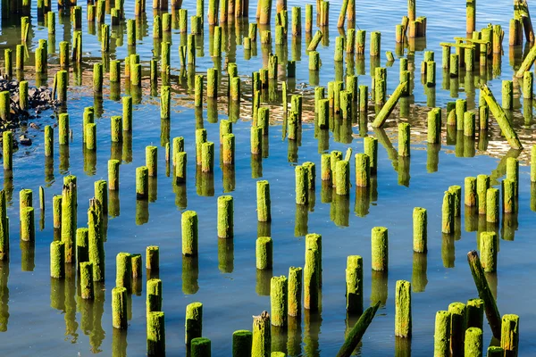 Green Posts in Blue Water — Stock Photo, Image