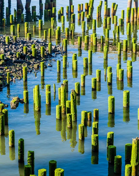 Green Pilings at Commercial Pier — Stock Photo, Image