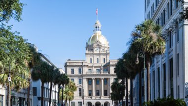 Savannah Belediye Binası Palm aşağı sokak kaplı