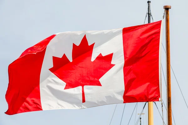 マストの上のカナダの旗 — ストック写真