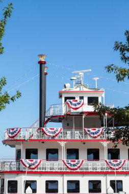 Uydu ve Nehir teknesinde kiraz kuşu