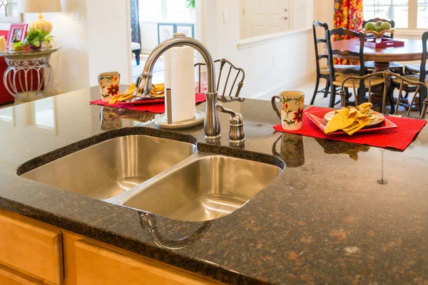 Stainless Steel Kitchen Sink and Fixture — Stock Photo, Image