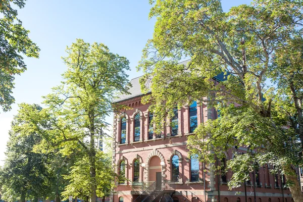 Ancien bâtiment en brique sous les arbres verts et le ciel bleu — Photo