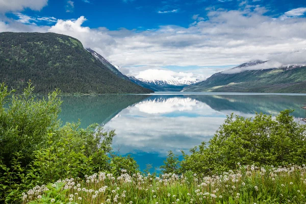 Blue Lake w pustyni Alaski — Zdjęcie stockowe