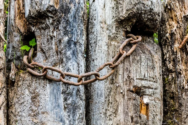 Rusty Chain on Old Post — Stock Photo, Image