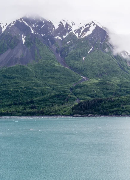 Zielonej góry Glacier Bay — Zdjęcie stockowe