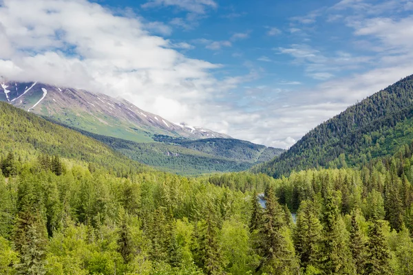Montañas cubiertas de Evergreen en Alaska — Foto de Stock