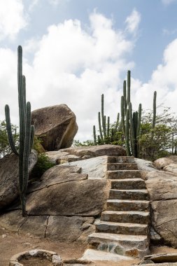 Stone Steps and Cactus clipart