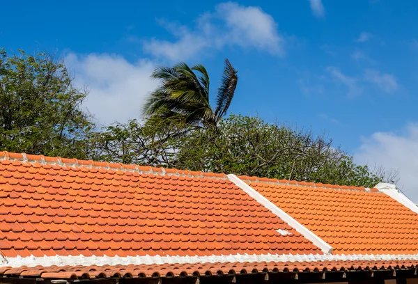 Red and White Tile Roof in Tropics — Stock Photo, Image