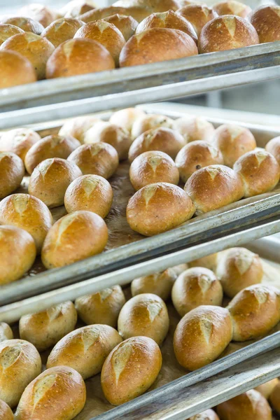 Fresh Baked Bread in Baking Racks — Stock Photo, Image