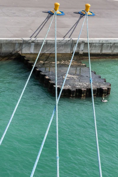 Quatre cordes bleues vers bornes jaunes — Photo