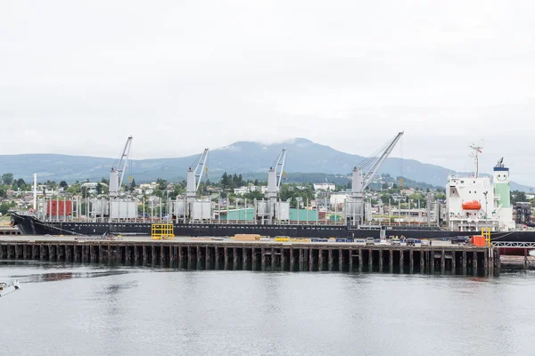 Kraniche im Trockendock in Nanaimo — Stockfoto