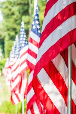 Arka arkaya Amerikan bayrakları