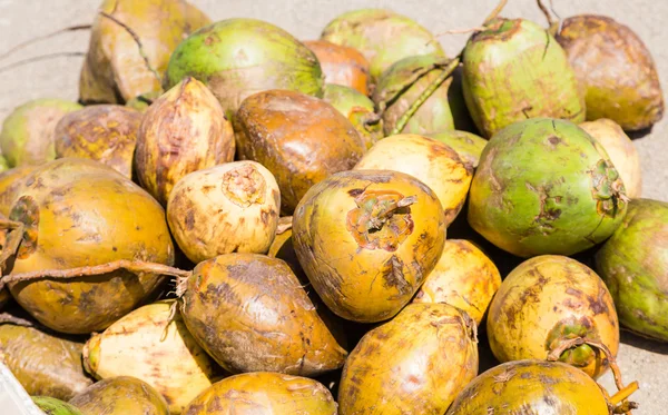 Gröna och gula kokosnötter — Stockfoto