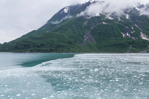 氷の流れを超えて緑の山 — ストック写真