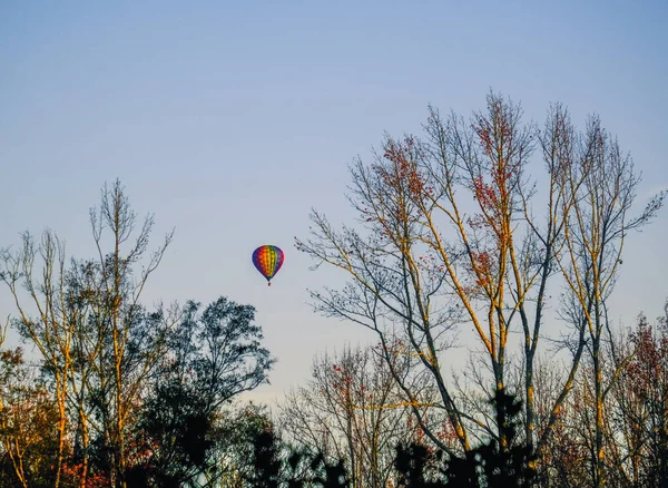 Horkovzdušné balónky procházející zimními stromy — Stock fotografie