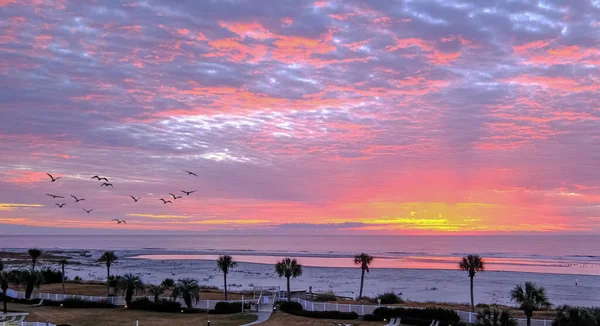 Różowy i żółty wschód słońca na plaży — Zdjęcie stockowe