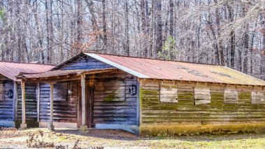 Eski Ağaç Kıskacı