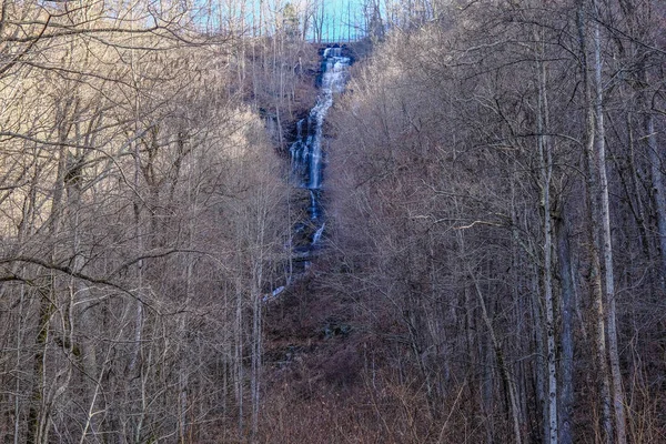 Árvores de Inverno com Amicalola Falls — Fotografia de Stock